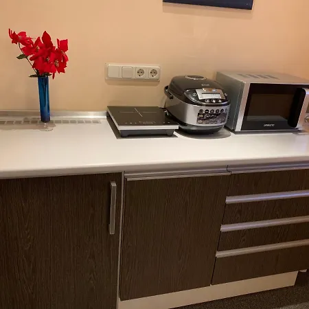 Garni Viktoria Pensionat 3*