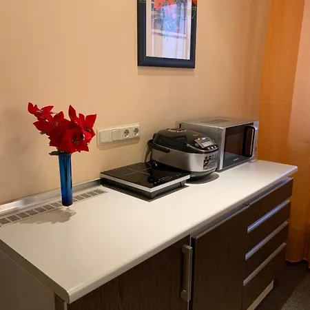Garni Viktoria Pensionat 3*
