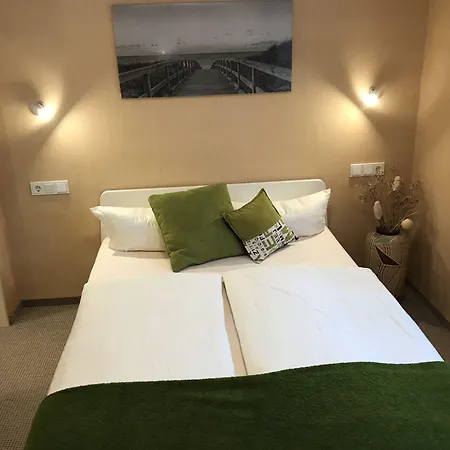 Guest house Garni Viktoria 3*