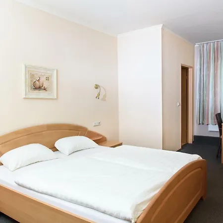 Garni Viktoria 3*