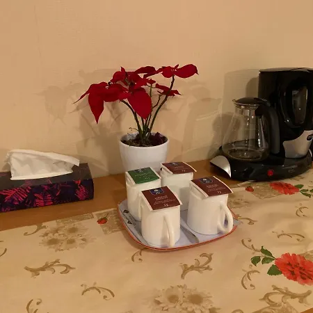 Garni Viktoria Pensionat Sohren