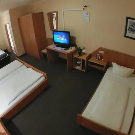 Guest house Garni Viktoria 3*